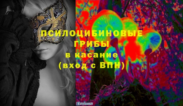 эйфоретик Абинск