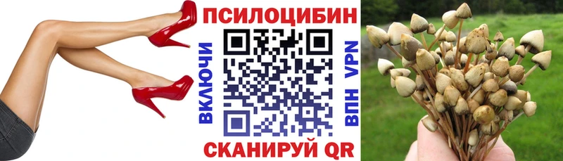 наркота Остров Псилоцибиновые грибы Cubensis